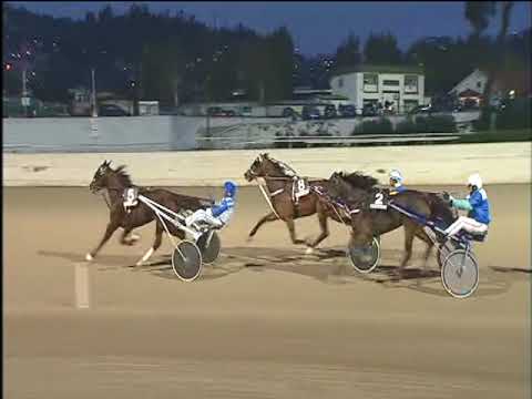 Trotto 31/12/2017 - 5ª corsa