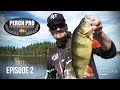 Perch Pro 2017 - EPISODE 2 - Kanalgratis.se (with French, German & Dutch subtitles)