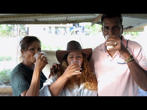 Rawytee Ramroop - Take One [Official Music Video] (2025 Chutney Soca)