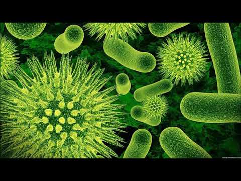 Hardcore | 240bpm | Speedcore | Greazy Puzzy Fuckerz, SRB, Striker, Lunatic, DJ Plague, Angerkill ++