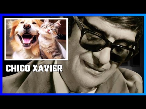 A REFLEXÃO DE CHICO XAVIER SOBRE OS ANIMAIS