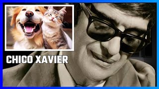 A REFLEXÃO DE CHICO XAVIER SOBRE OS ANIMAIS