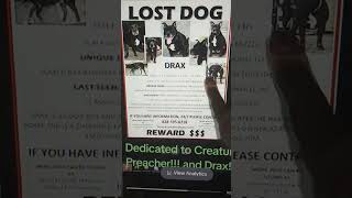 Emergency Alert: Missing Dog in North Carolina!