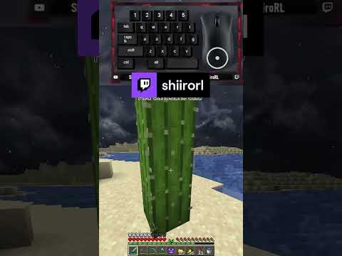 Epic Shiro Minecraft Cactus Hunt!