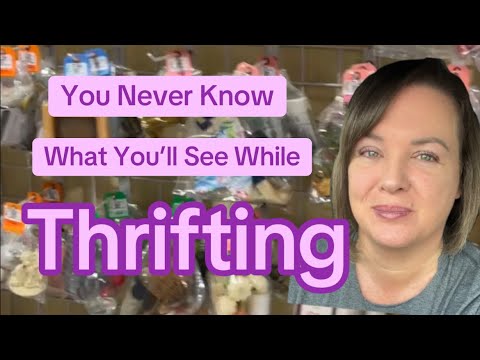 I Love the Randomness! #shopwithme #thrifting #goodwill #vintage #secondhand  #americasthriftstore 