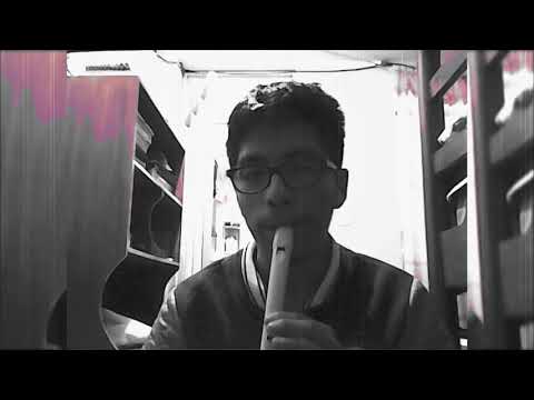 Fantasia  - sebastian yatra(flauta dulce)