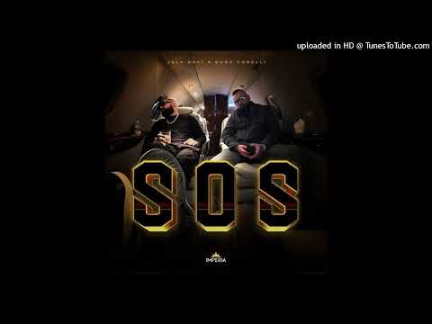 Jala Brat X Buba Corelli X Central Cee - DOJA S.O.S (Zozz Remix)