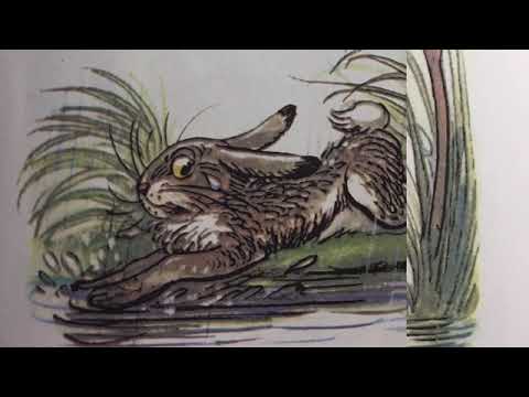 Pod hríbom - rozprávka na dobrú noc