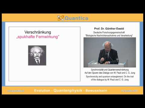 Synchronizität und Quantenverschränkung - Auf den Spuren des Dialogs von W. Pauli und C.G. Jung