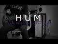 Hum - Step into You (Guitar Cover)