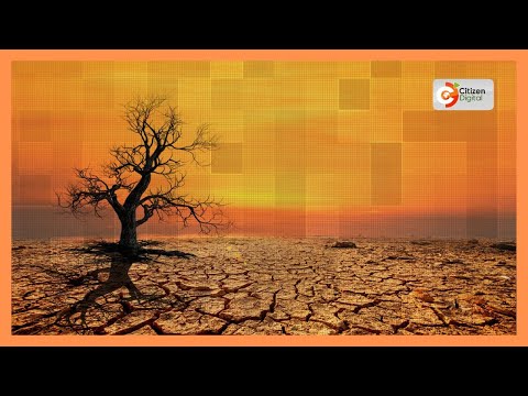 Northern Kenya Members of Parliament  raise alarm over looking drought