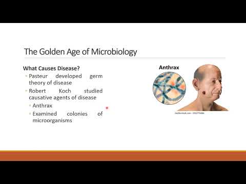 Introduction to Microbiology