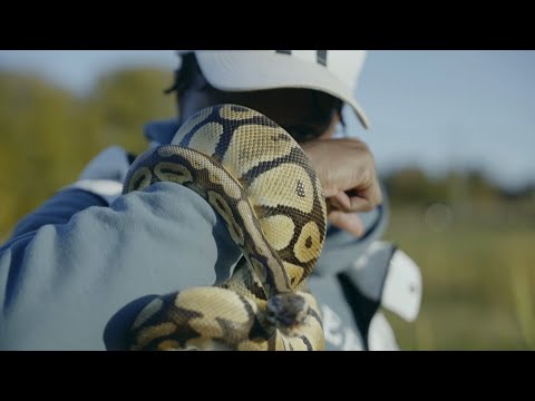 Slim Dinero - Around (Official Video)