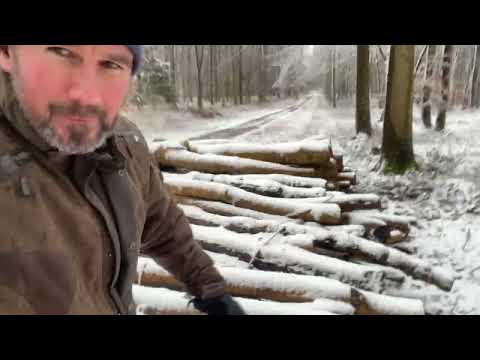 In nature, everything is a compass.