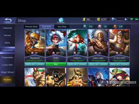 Buying Hayabusa and Spacetime Shadow Skin