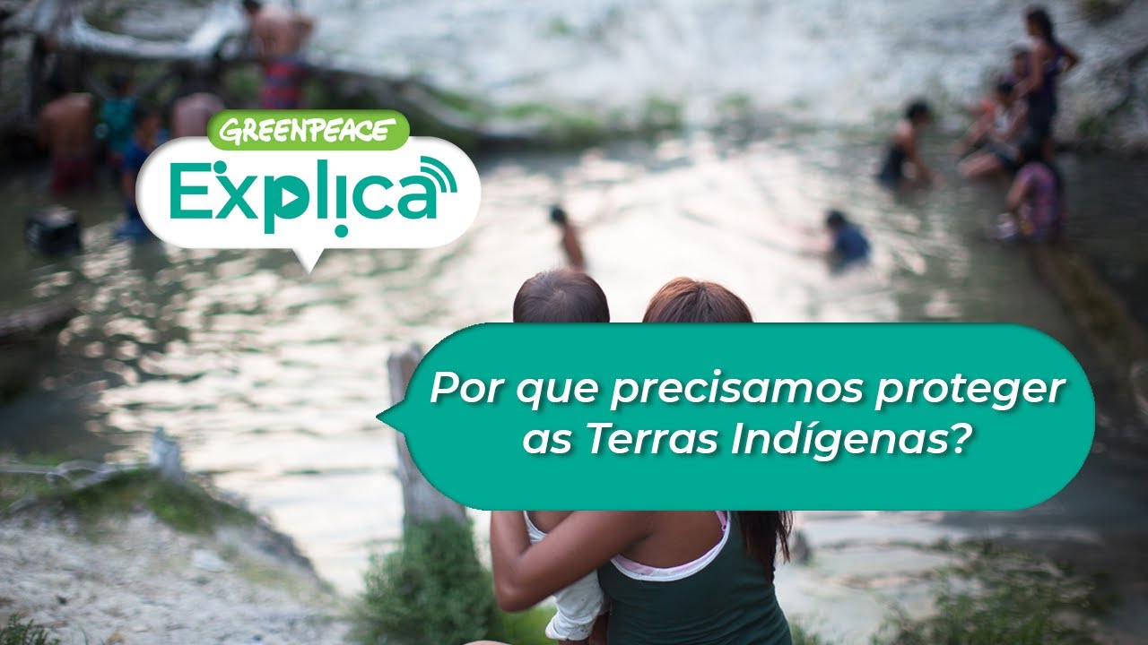 Por que proteger as Terras Indígenas? - Greenpeace Explica