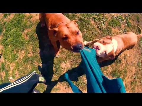 03. Feb ft. MGC - Imigrant (Video)