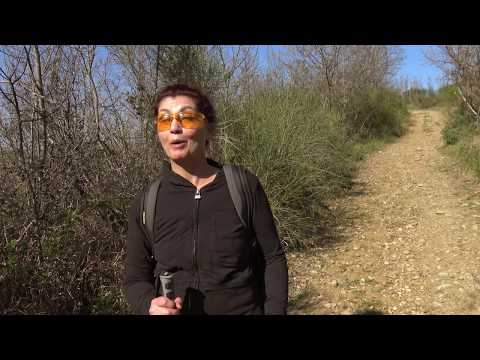 Escursione 4K - Anello di Malmantile - Trekking in Toscana