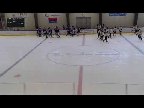 ZSC Lions vs.HC Lugano