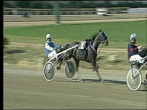 Trotto 26/02/2017 - 1ª corsa