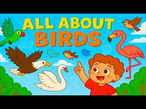 "All About Birds 🐦 | Everything You Need to Know for Kids!"