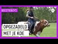 KOE RIJDEN | Extreme Animal Hobby's Beestieboys | NPO Zapp