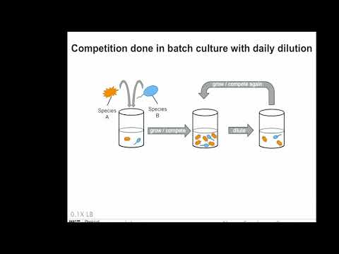 Environmental Modulation of Microbial Community Structure