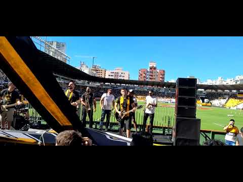 Os Tigres Rock - Você nunca vai entender 🐯 CRICIÚMA X Brusque (01/04/2023)