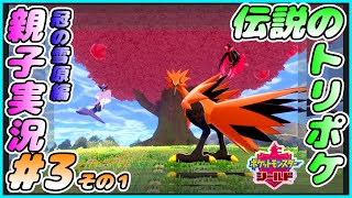冠の雪原編#3 その１[ポケモン剣盾]このトリポケは・・・なんか違う？？おかんとしんが実況するで！！[親子実況]