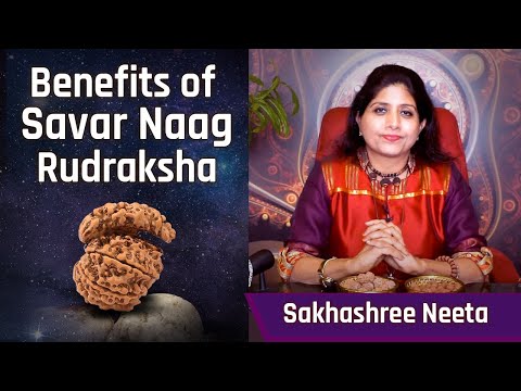 Savar Naag Rudraksha For Love Harmony & Spiritual Evolution