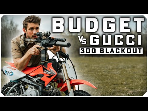 300 Blackout Budget Build | PSA vs Zev vs MCX