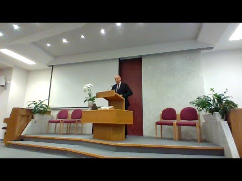 Šta očekivati od apokalipse? 2 i 3 deo