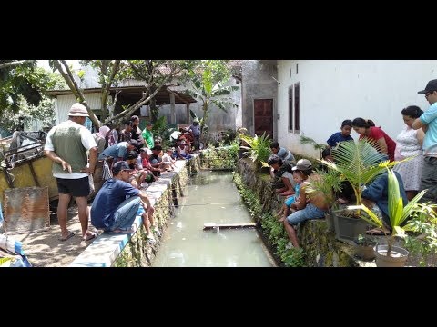 MANCING DI EMBUNG KAMPUNG SAWI  | BRASSICANTV eps.12