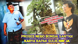 Download lagu NEGO ALOT Inspirasi Bonsai Santigi Karya Bapak Sul... mp3