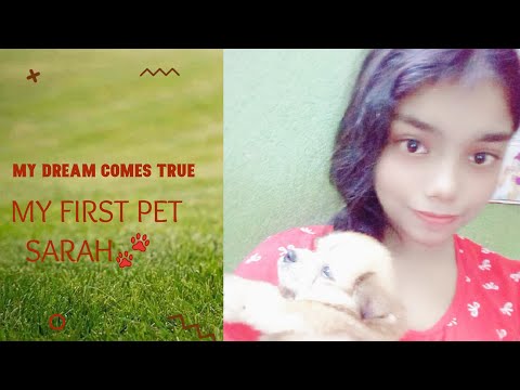 Got my first puppy|Sarah's first day home| Sushmita & Sarah