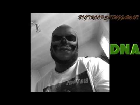 Tuggawar - BigTroops - DNA