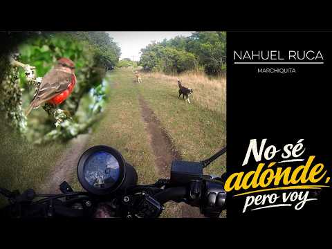 Estancia Nahuel Ruca │