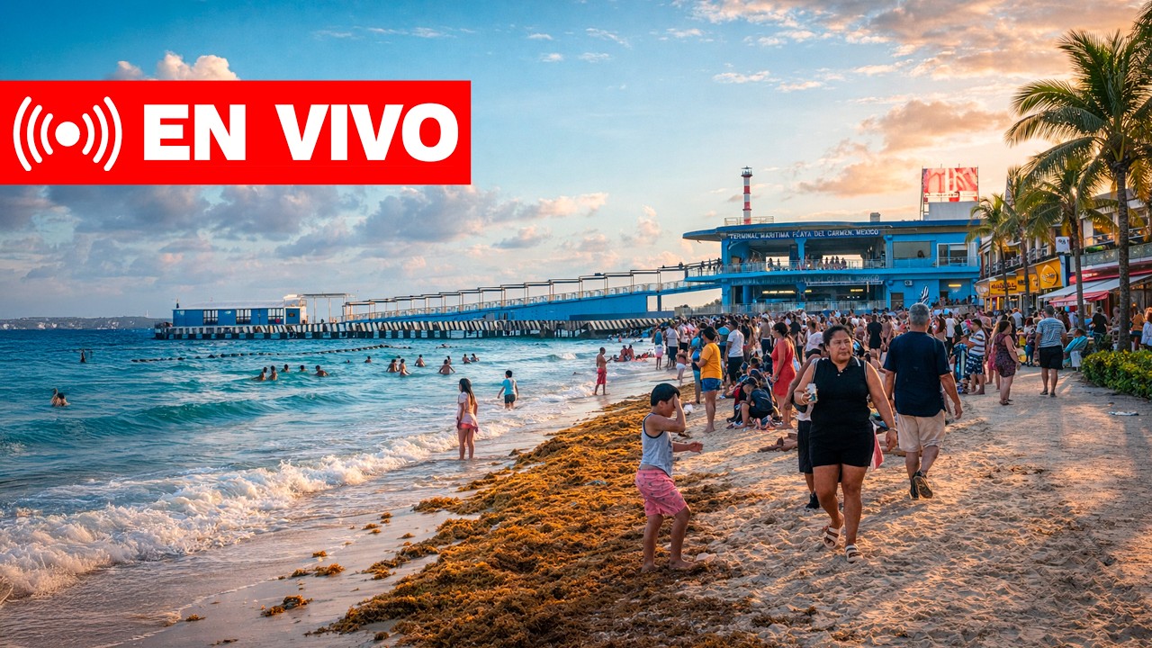 🔴 Playa del Carmen en vivo | Semana Santa 2026 (Playas)