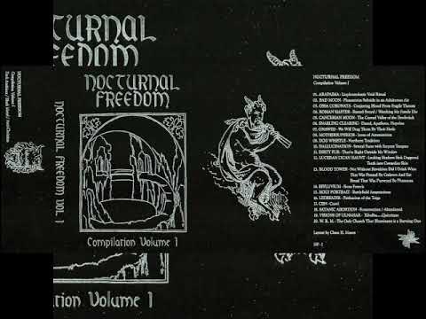Nocturnal Freedom - Compilation Volume I (2018) (Dark Ambient, Black Metal, Power Electronics)