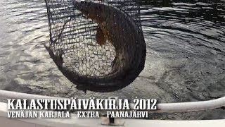 preview picture of video 'Kalastus ● Paanajärven Iso Hauki ● Venäjän Karjala Extra 2012'