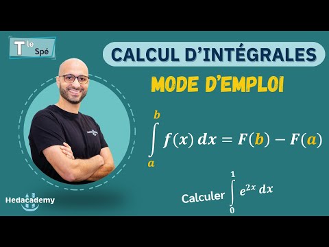 INTEGRALS CALCULATIONS - Special Term Maths