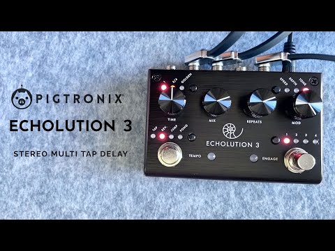 Pigtronix Echolution 3 Modulated Delay image 8