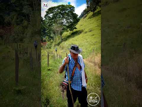 Un campesino antioqueño Un paisa de nacimiento #Dabeiba #Antioquia