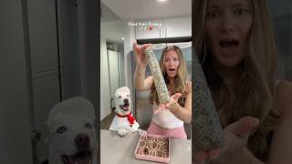 Did I feed my dog a snake?🐍👀#dog #dogshorts #doglife #dogfood #dogowner #pets #dogvideos