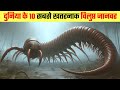 आखिर कौन सा है दुनिया के 10 खतरनाक विलुप
