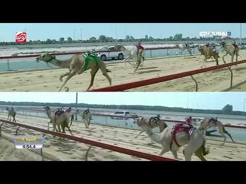  ش 5 (خيرة) لـ هجن الشحانية  9:11:1  , تأهيل المرموم 2026/03/05 ايذاع 