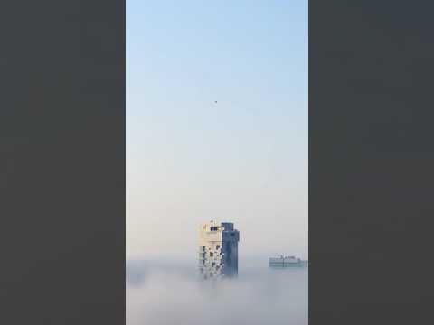 the best music of your day: TH3 DARP - Dreams of You