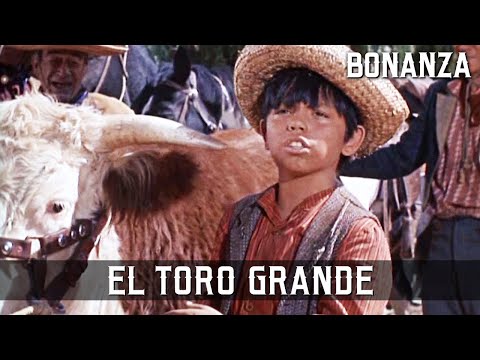 Bonanza - El Toro Grande | Episode 16 | TV Western Series | Cowboy Movie
