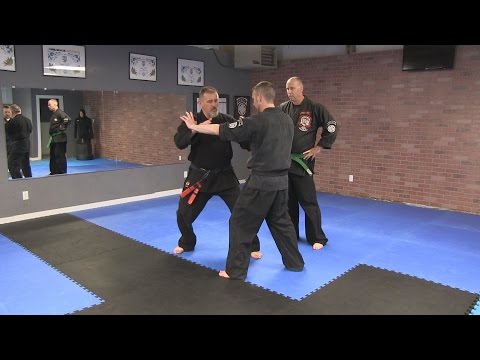 KENPO KARATE Techniques AKKI