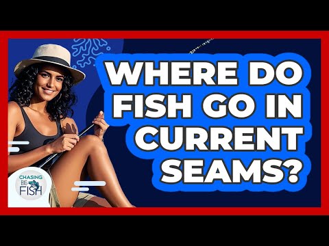 Where Do Fish Go In Current Seams?